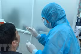 Взятие образцов для тестирования на SARS-CoV-2 (Фото: ВИА)