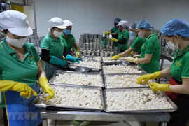 Рабочие перерабатывают свежий личи на экспорт на фабрике Vifoco Export-Import JSC в провинции Бакджанг (Фото: ВИА)
