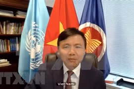 Посол Данг Динь Куи, глава постоянного представительства Вьетнама при ООН (Фото: ВИА)