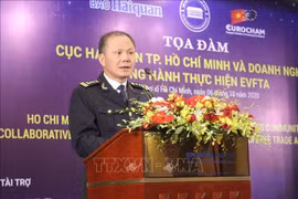 Начальник таможенного управления города Хошимин Динь Нгок Тханг (Источник: ВИА)