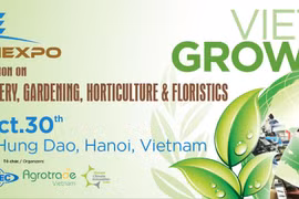 (Фото: Growtech.vn)