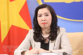 МИД: Вьетнам приветствует позицию других стран по вопросу Восточного моря в соответствии с с международным правом