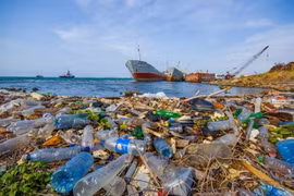 Пластиковые отходы отрицательно сказываются на морской жизни и угрожают окружающей среде (Фото: ВИА)
