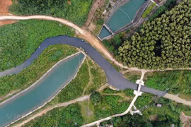 Фото для иллюстрации. (Vietnam+)