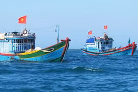 Фото для иллюстрации. (Исчтоник: https://viettimes.vn/)