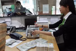 Курсы доллара и вьетнамского донга остаются на высоком уровне. (Фото: Vietnam+)