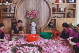 Лотосовой чай Чыанг Ана