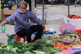 Индекс потребительских цен в июне вырос на 0,69% по сравнению с маем. (Фото:Vietnam+)