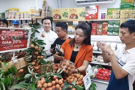 Многие вьетнамские сельскохозяйственные продукты экспортируются в Японию и другие страны мира. (Фото: корреспондент Vietnam+)