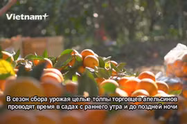 “Маленькие солнышки” в горном уезде Лукнган