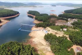 Фото: ВИА
