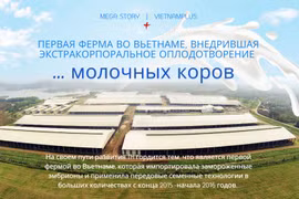 Первая ферма во Вьетнаме, внедрившая экстракорпоральное оплодотворение молочных коров