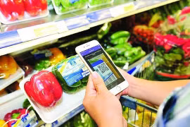 Поддержка реализации сельскохозяйственной продукции на платформах электронной коммерции. (Фото: ВИА)