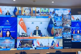 Вьетнам принял участие в 12-м заседании AIPA (Фото: ВИА)