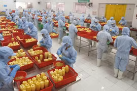 Переработка консервированных ананасовых продуктов на заводе акционерного общества сельскохозяйственного импорта и экспорта Aнжанг. (Фото: ВИА) 