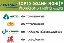 Лидирующие компании в рейтинге FAST500. (Фото: VIetnam Report)