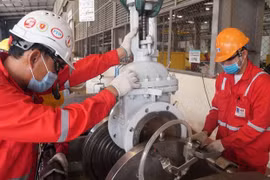 PetroVietnam сохранила хорошее производство и бизнес в первые два месяца этого года. (Фото: ВИА)