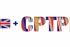 Вьетнам готов поделиться информацией о CPTPP, опытом с Великобританией (Источник: Kepdowrie.com)