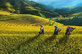 Горные районы. (Фото: baochinhphu.vn)