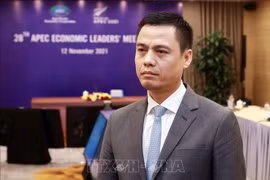 Заместитель министра иностранных дел Данг Хоанг Жанг. (Фото: ВИА)