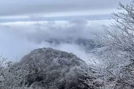 Новое сильное похолодание наступает на Север Вьетнама