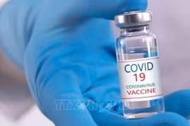 Вакцина от COVID-19 (Фото: ВИА)