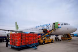 Bamboo Airways бесплатно перевезет медицинское оборудование и средства для профилактики эпидемии COVID-19 в провинцию Хайзыонг. (Фото: ВИА)