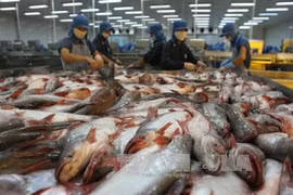 Вьетнам ежегодно экспортировал в Камбоджу водных продуктов на сумму около 60 млн. долл. США. (Фото: ВИА)