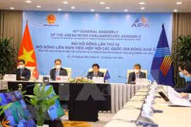 Вьетнамская делегация на заседании Социального комитета в рамках AIPA 42 (Фото: ВИA)