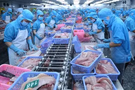 Линия по переработке пангасиуса на экспорт на заводе Southern Seafood Industry Co., Ltd (индустриальный парк Ча Нок, город Кантхо). (Фото: ВИА)