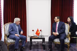 Премьер-министр Фам Минь Тьинь принял президента Ассоциации дружбы Франция-Вьетнам Жерара Давио. (Фото: Зыонг Жанг/ВИА)