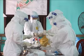 Медицинские работники берут образцы, взятые для тестирования на COVID-19 в провинции Бакжанг (Фото: ВИА)