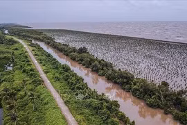 Вторжение соленной воды в дельте Меконга (Фото: ВИA)