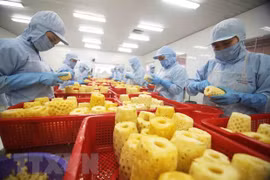 Переработка консервированных ананасовых продуктов на экспорт на фабрике компании по экспорту-импорту сельскохозяйственной продукции «Анжанг» (Фото: ВИА) 