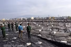 Восстановление территории в аэропорту Дананга от диоксина. (Фото: ВИА)