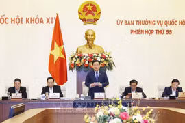 55-е заседание Постоянного комитета НС. (Фото: ВИА)