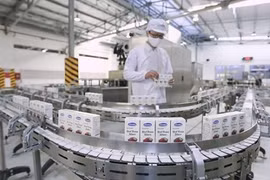 Молочные продукты компании Vinamilk. (Фото: ВИА)