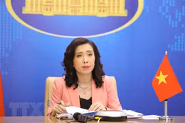 Официальный представитель МИДа Вьетнама Лу Тхи Тху Ханг во время пресс-конференции. (Фото: ВИА)