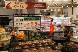 Вьетнамские личи поступили в продажу в супермаркете AEON в Японии. (Фото: ВИА)