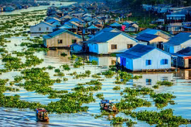 Фото для иллюстрации. (Источник: baotainguyenmoitruong.vn)