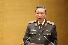 Министр общественной безопасности генерал То Лам (Фото: ВИА)