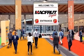 Цифровая торговая выставка Macfrut, проходящая онлайн с 8 по 10 сентября, дает возможность вьетнамским предприятиям изучить европейский рынок с почти 500 миллионами потребителей и узнать об их вкусах. (Фото любезно предоставлено организаторами)