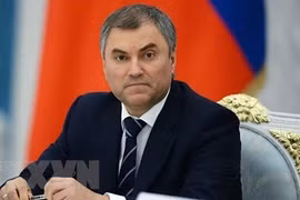 Председатель Государственной Думы России Вячеслав Викторович Володин (Фото: Sputnik / ВИА)