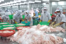Переработка рывной продукции на экспорт. (Фото: ВИА)