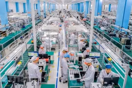 Совокупный объем прямых иностранных инвестиций за 11 месяцев 2023 года продолжает расти (Фото: ВИА)