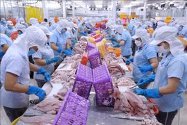 Обработка пангасиуса и рыбы баса на предприятии Navico Nam Viet Company (NAVICO) в городе Лонгсуйен, Анжанг. (Фото: ВИA)