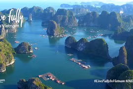 Веб-сайт Национальной администрации туризма Вьетнама (VNAT) Vietnam.travel продолжает набирать популярность, занимая 128.229-е место в рейтинге мирового веб-трафика (фото: ВИА)