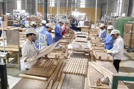 Фото: ВИА