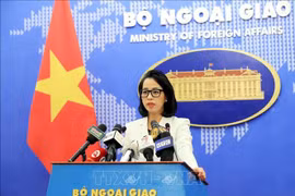 Пресс-секретарь МИД Фам Тху Ханг сообщила о ряде внешнеполитических мероприятий в июле 2023 года. (Фото: Лам Кхань/ВИА)