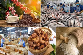 Экспорт сельскохозяйственной, лесной и рыбной продукции в январе достиг 3,7 млрд. долл. США (Фото: ВИА) 